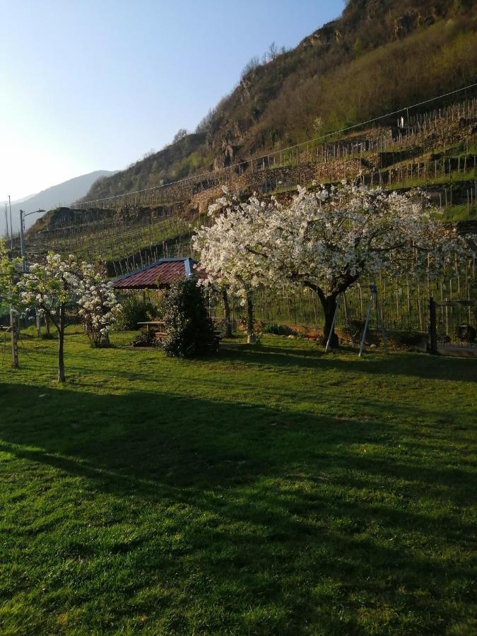 Casa Vacanze La Ca Del Cunfec Sondrio Eksteriør bilde