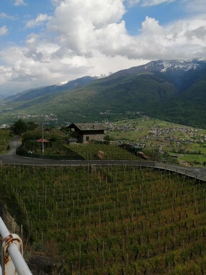 Casa Vacanze La Ca Del Cunfec Sondrio Eksteriør bilde