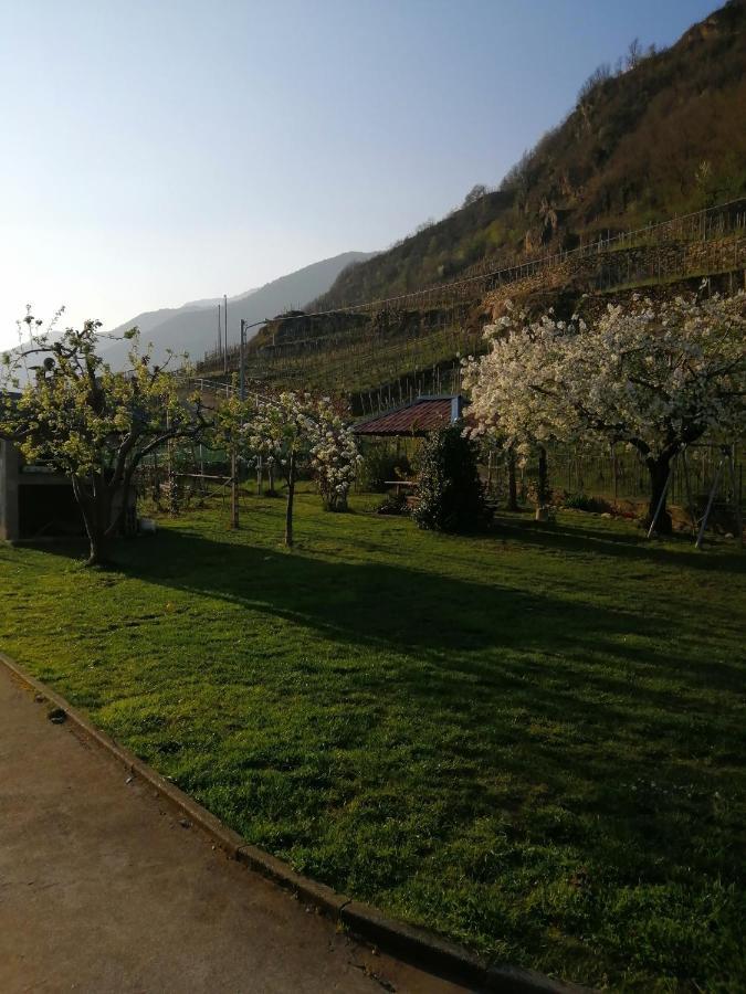 Casa Vacanze La Ca Del Cunfec Sondrio Eksteriør bilde