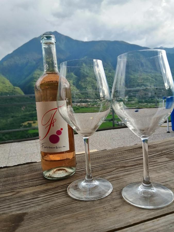 Casa Vacanze La Ca Del Cunfec Sondrio Eksteriør bilde