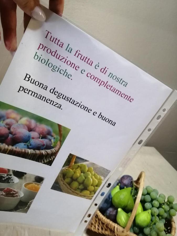 Casa Vacanze La Ca Del Cunfec Sondrio Eksteriør bilde